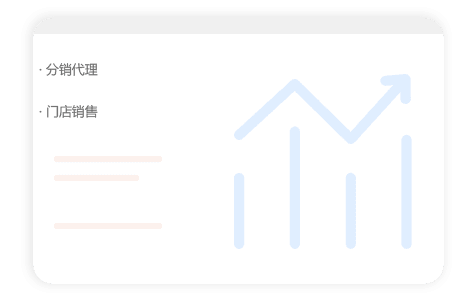 分销系统定制